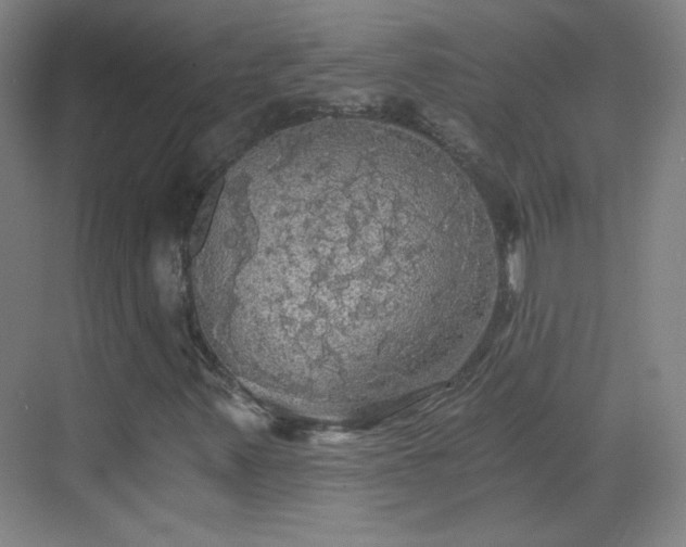 X0000069811347200605221153