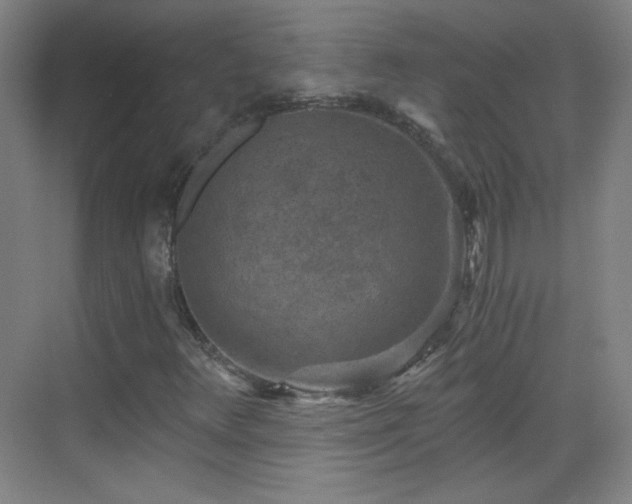 X0000069811348200605221153