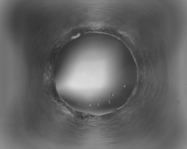 X0000069811349200605221153