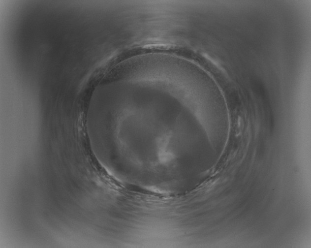 X0000069811351200605221153