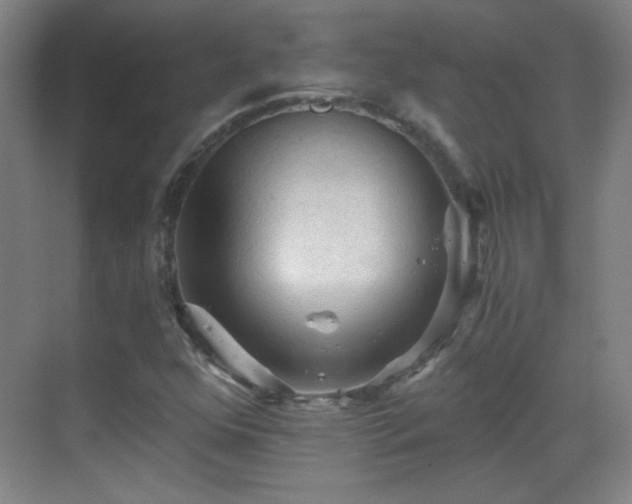 X0000069811352200605221153