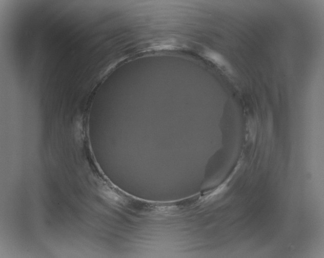 X0000069811353200605221153