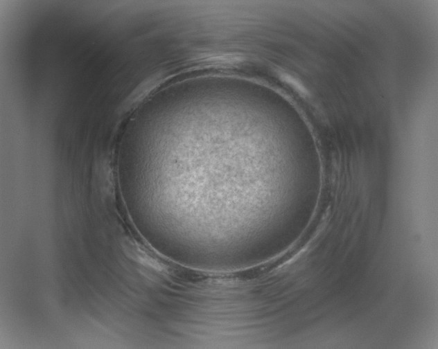 X0000069811354200605221153