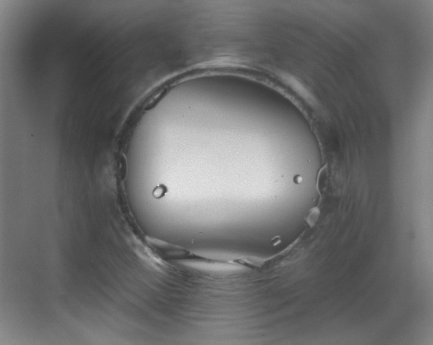 X0000069811356200605221153