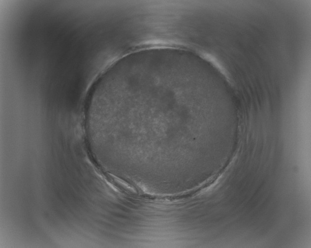 X0000069811357200605221153