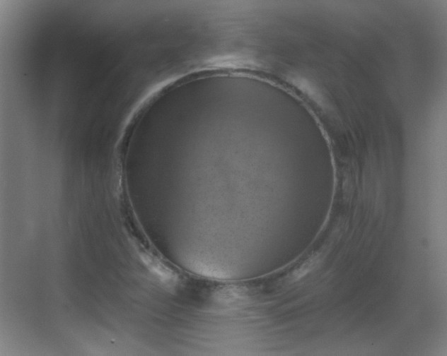 X0000069811358200605221153