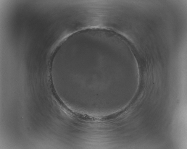 X0000069811359200605221153