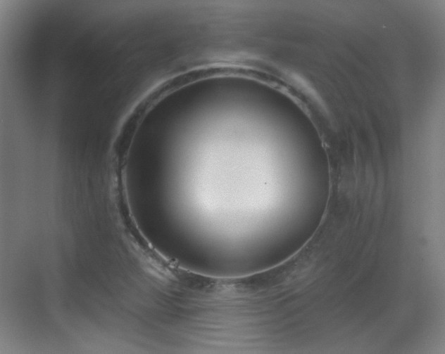 X0000069811360200605221153