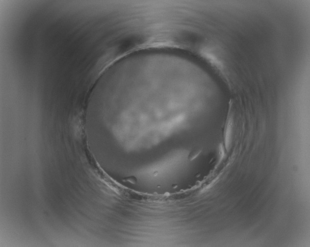 X0000069811361200605221153