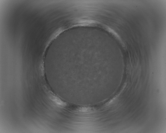 X0000069811362200605221153