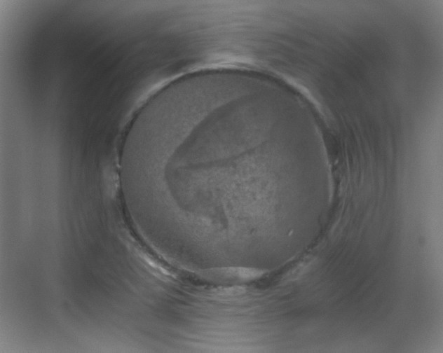 X0000069811363200605221153