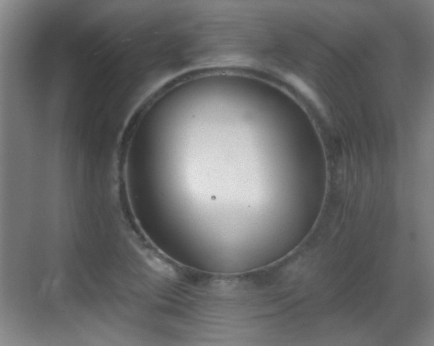 X0000069811364200605221153