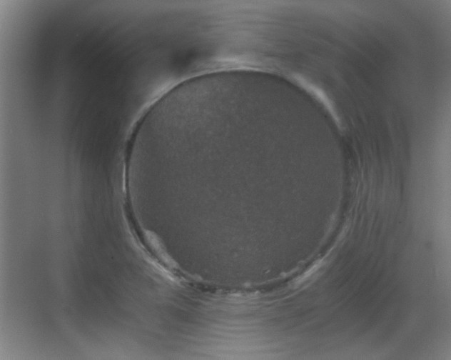 X0000069811365200605221153