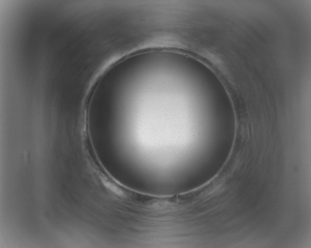 X0000069811366200605221153