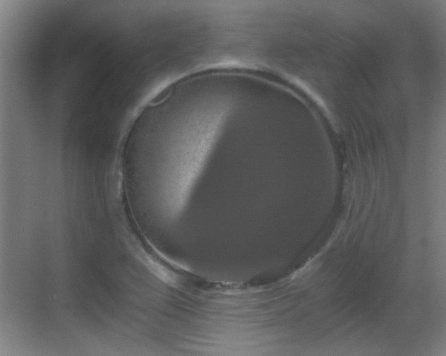 X0000069811367200605221153