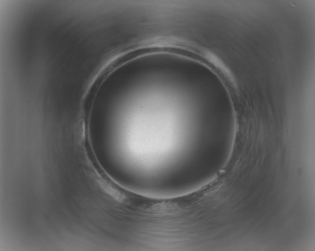 X0000069811368200605221153