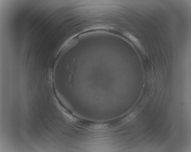 X0000069811369200605221153