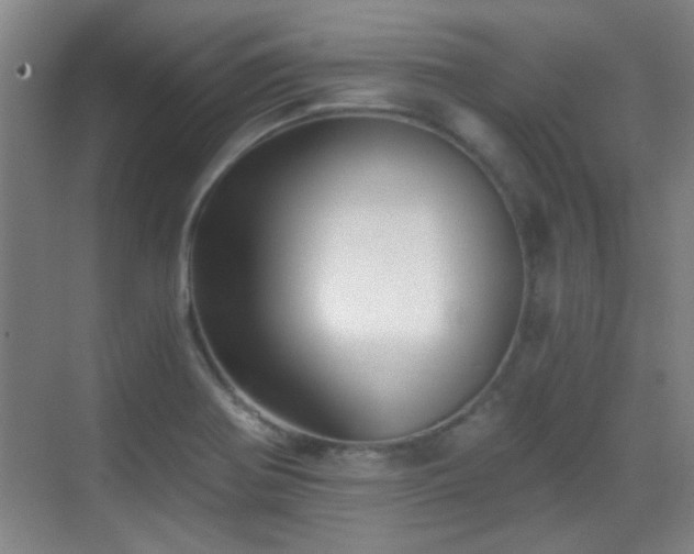 X0000069811370200605221153