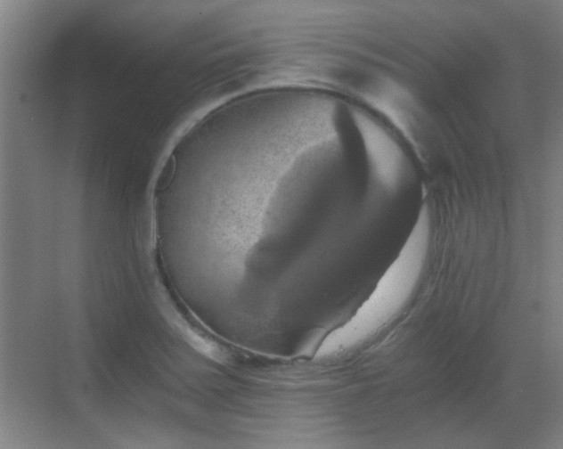 X0000069811371200605221153