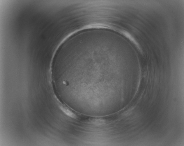 X0000069811372200605221153