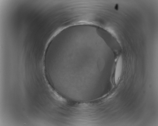 X0000069811373200605221153