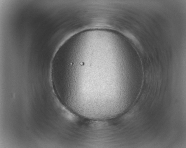 X0000069811374200605221153