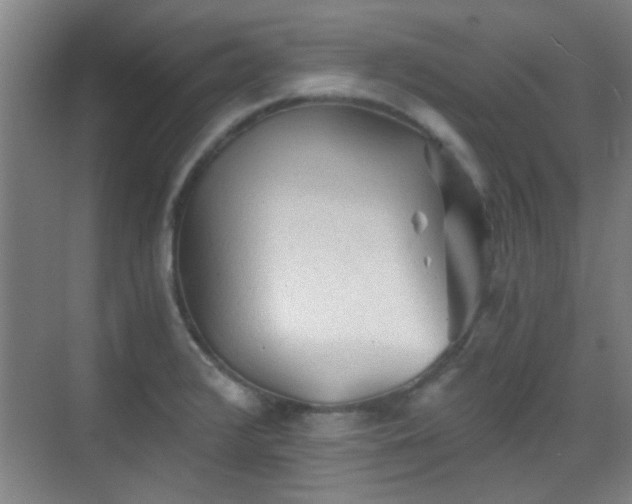 X0000069811376200605221153