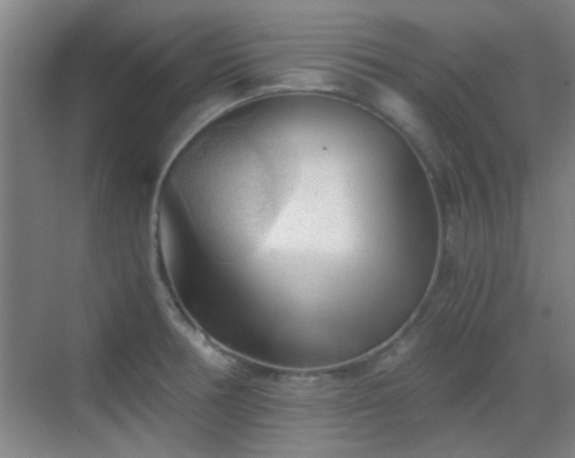 X0000069811378200605221153