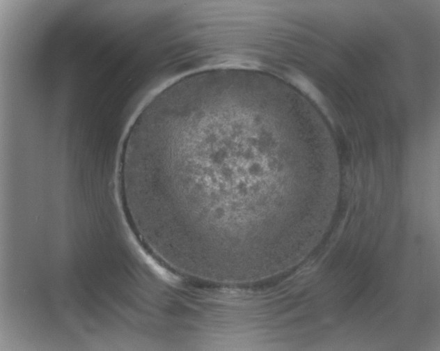 X0000069811379200605221153