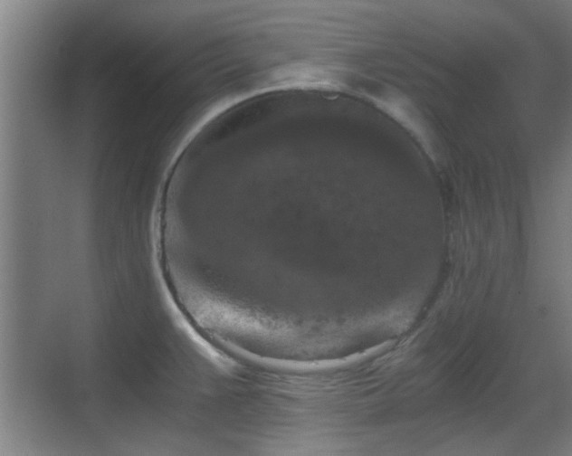 X0000069811383200605221153