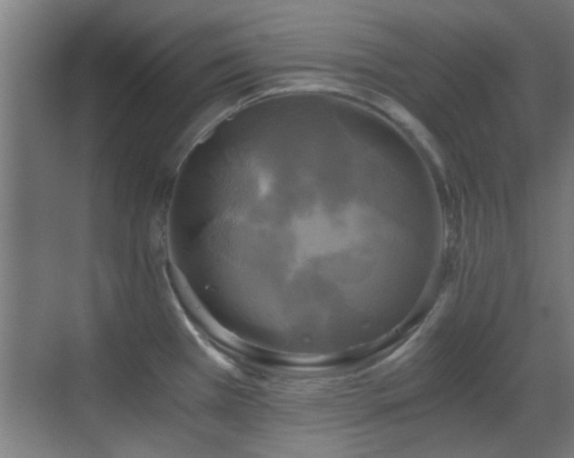 X0000069811385200605221153