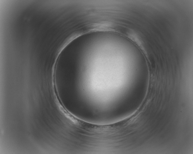 X0000069811386200605221153