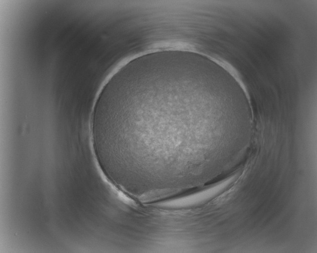 X0000069811389200605221153