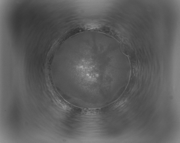 X0000069811393200605221152