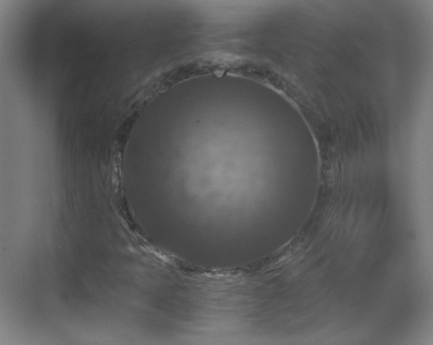 X0000069811397200605221152