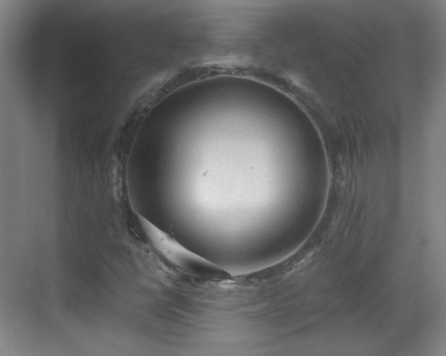 X0000069811398200605221152