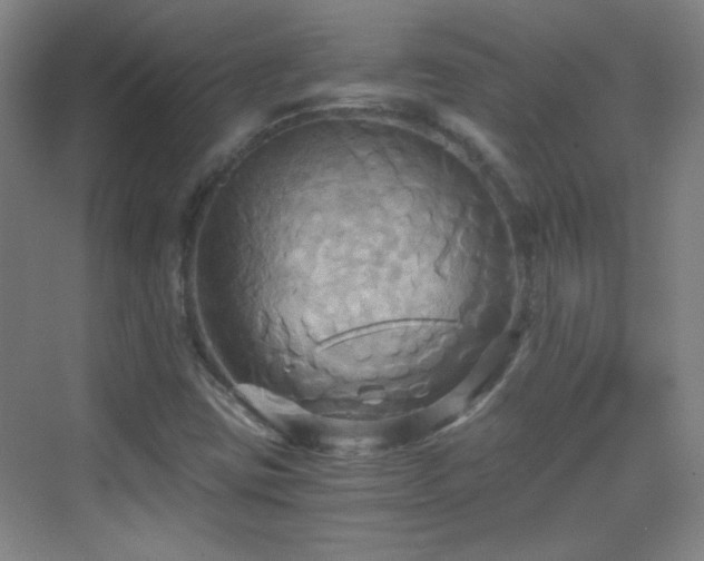 X0000069811403200605221152