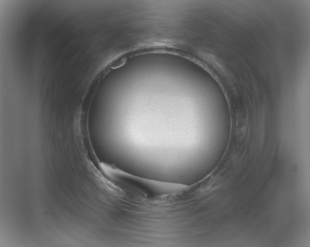 X0000069811404200605221152