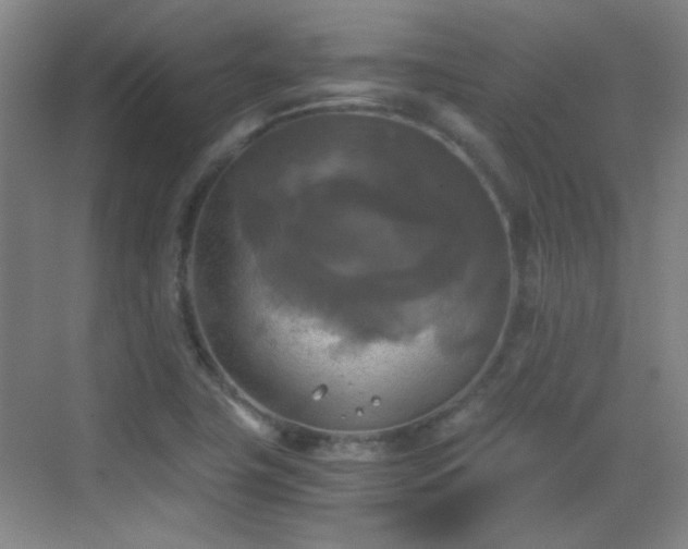 X0000069811411200605221152