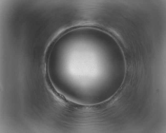 X0000069811414200605221152