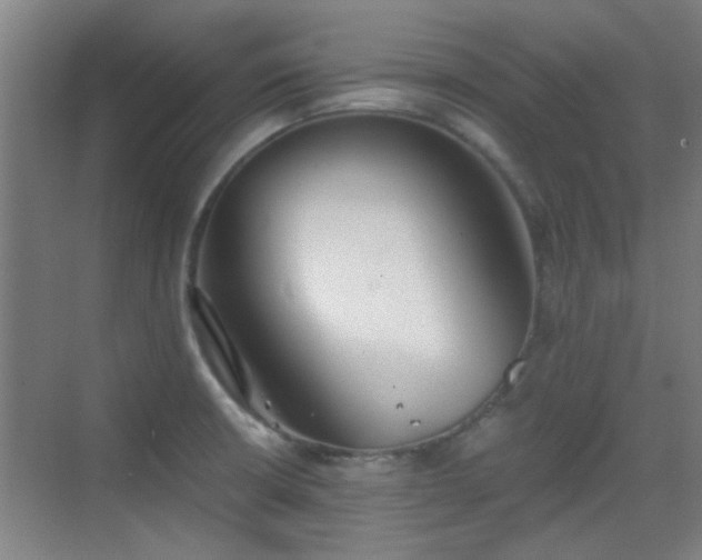 X0000069811426200605221152