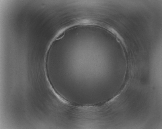 X0000069811429200605221152