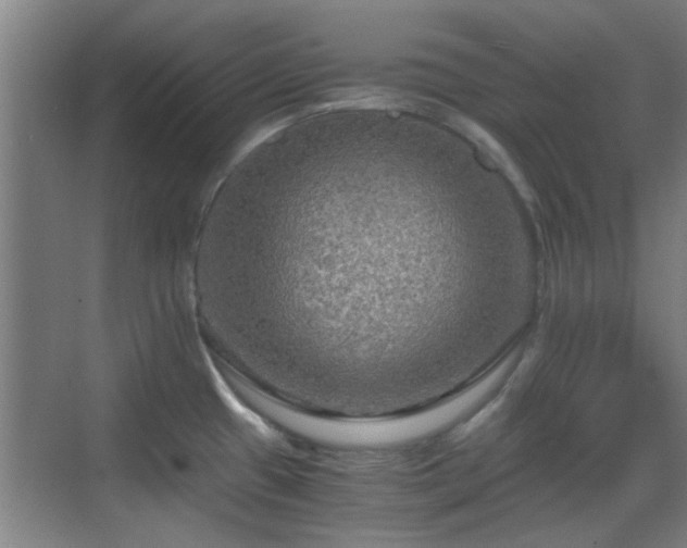 X0000069811433200605221152