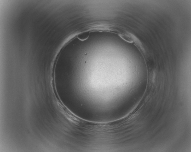 X0000069811435200605221153