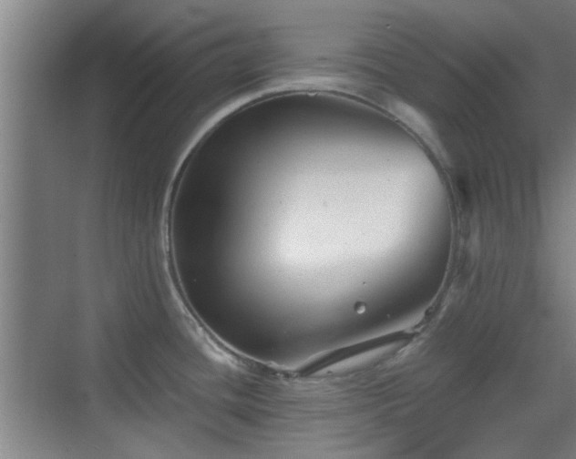 X0000069811436200605221153