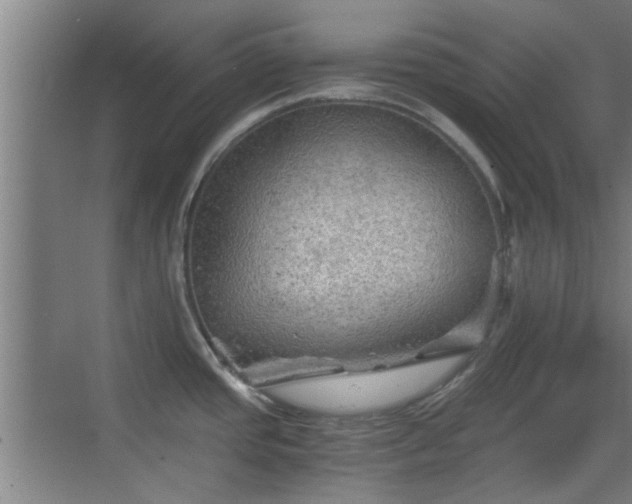 X0000069811437200605221153