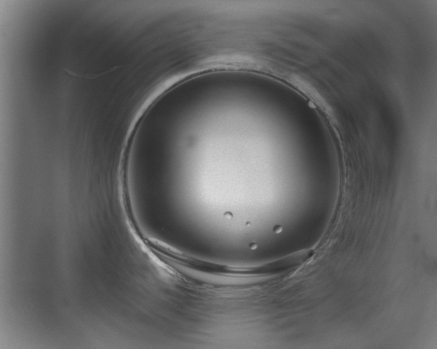 X0000069811440200605221153