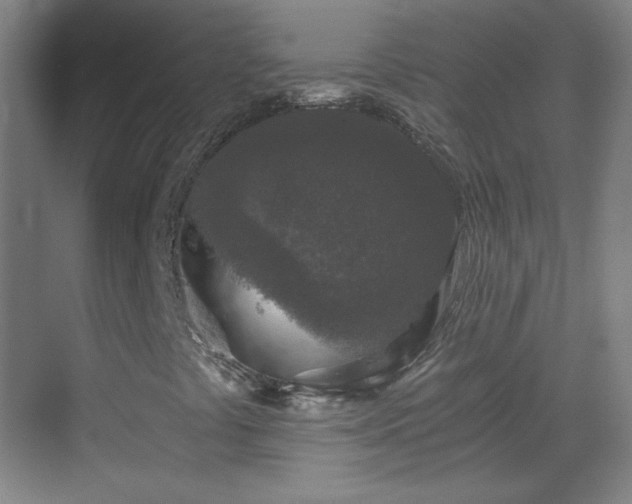 X0000069811441200605221152