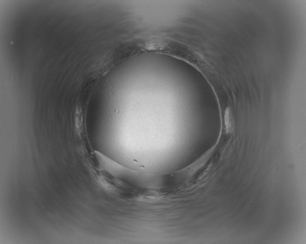 X0000069811443200605221152