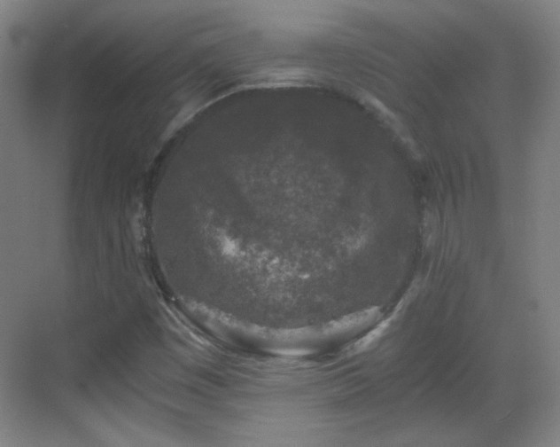 X0000069811449200605221152